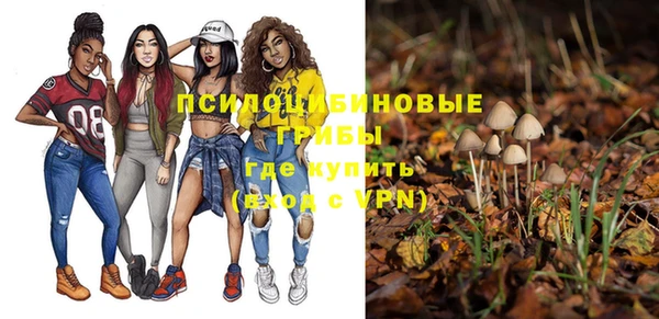 прущие крисы Михайловка